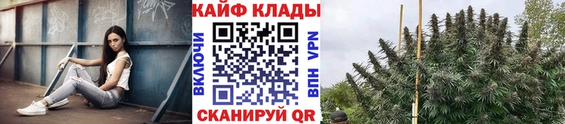 Купить наркотики цена Кашира Гашиш А ПВП Мефедрон Галлюциногенные грибы Каннабис