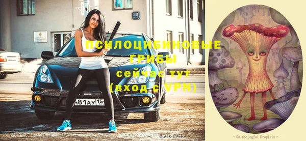 тгк Абинск