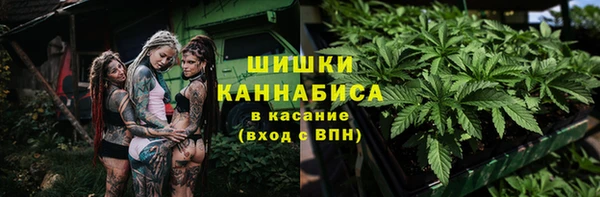 тгк Абинск