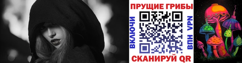 OMG зеркало  Кашира  Псилоцибиновые грибы прущие грибы 